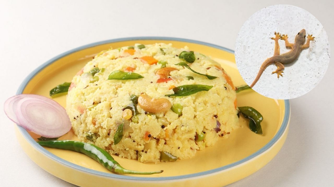 <div class="paragraphs"><p>Representative image showing upma and lizard.</p></div>